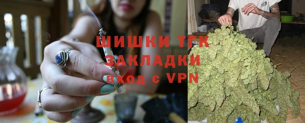 шишки Наволоки